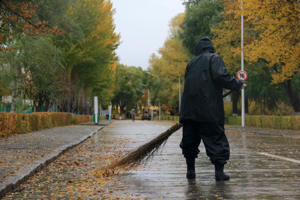 白梦飞 《秋雨天扫叶人》