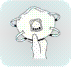 3c8572d16f60915e73d7b2081140c7e